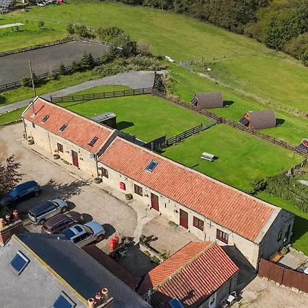 Hare Pod * Scarborough