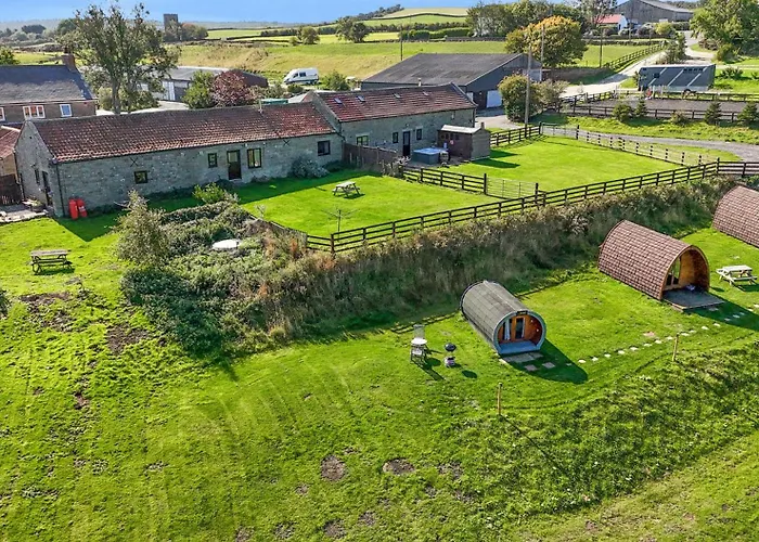 Hare Pod Scarborough