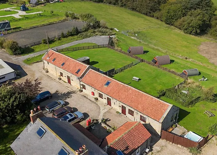 Hare Pod * Scarborough